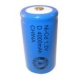 Pile NiCD D 4000 mAh - 1,2V - Evergreen