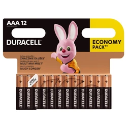 Duracell Basic LR03 AAA x 12 piles alcalines Duracell Basic LR03 AAA x 12 piles alcalines