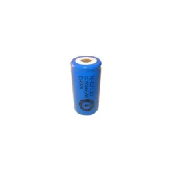 Pile NiCD C 3000 mAh tête plate - 1,2V - Evergreen Pile NiCD C 3000 mAh tête plate - 1,2V - Evergreen