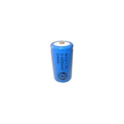 Pile NiCD D 4000 mAh - 1,2V - Evergreen